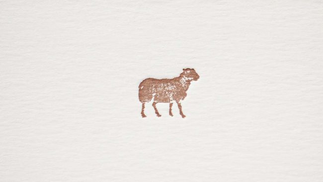 Alfonza Woolwear